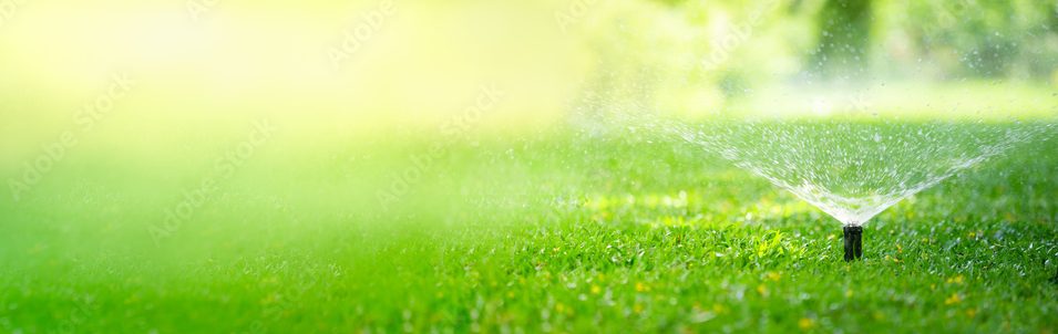 AdobeStock_450678363_Preview