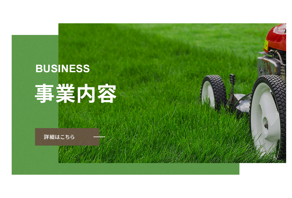 bnr_business_half
